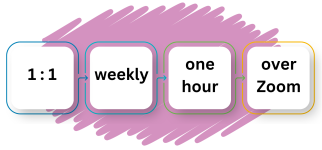 Graphic displaying 4 boxes with the words "1:1", "weekly", "one hour" and "over Zoom" in each. There are rose colored lines behind the boxes.